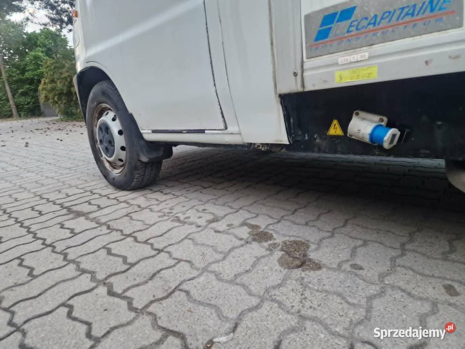 Citron jumper 25d chłodnia izoterma kontener Warszawa