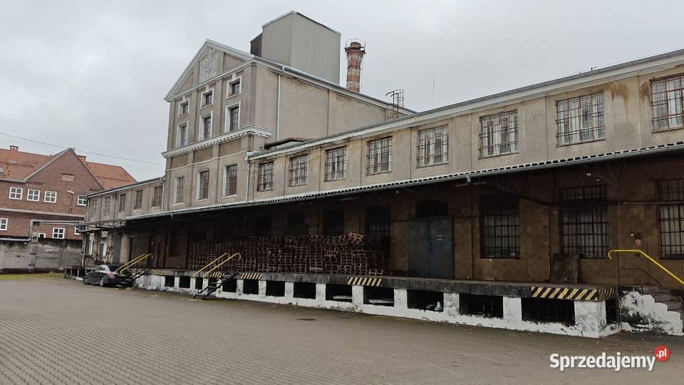 Syndyk sprzeda Szczecińską Fabrykę Wódek STARKA Pozostałe Szczecin