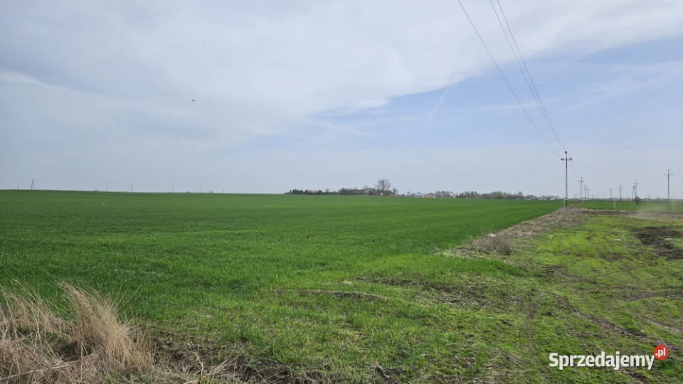 działka Stare Boryszewo 2505 mkw wszystkie