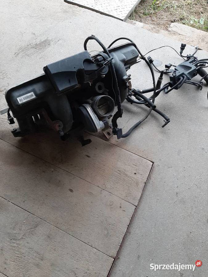 Kolektor ssacy bmw e46 330i m54b30 osobowe Świerkówki