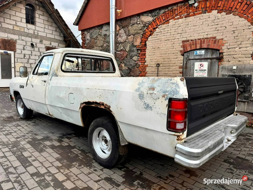Dodge RAM Dodge Ram Pickup Short Krótki Pali biały Sulechów