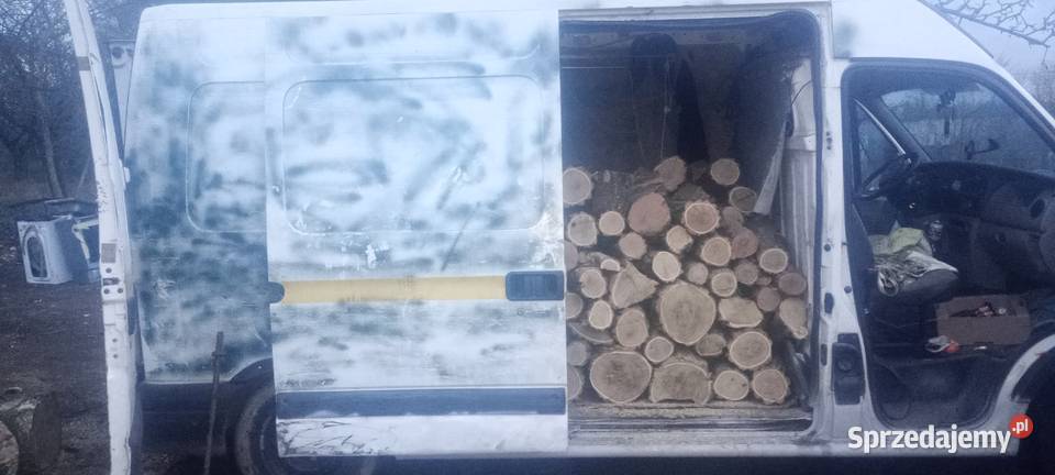 Akacja dąb jesion brzoza 300 metr Trzebiechów