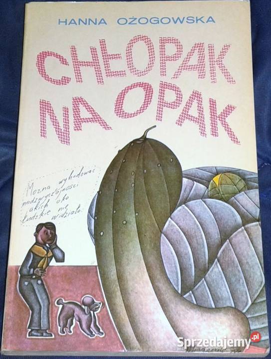 Chłopak na opak Hanna Ożogowska Chełm sprzedam