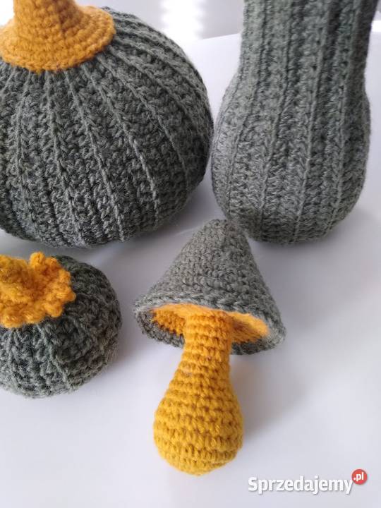 Dynia Dynie Pumpkin Family and Mushroom Set pomorskie Gdańsk