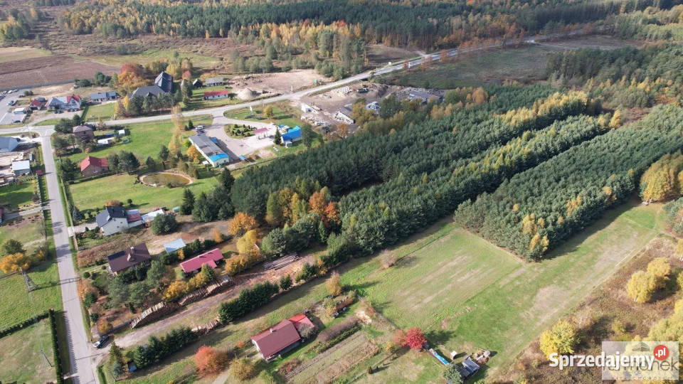 Ogłoszenie grunt 7600m2 Majdan Sieniawski Sprzedaż