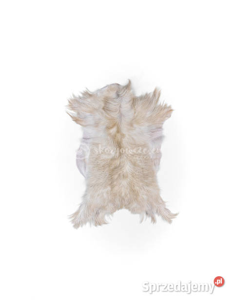 Skóra z kozy kozia skóra kozia skóra dekoracyjna małopolskie Szaflary