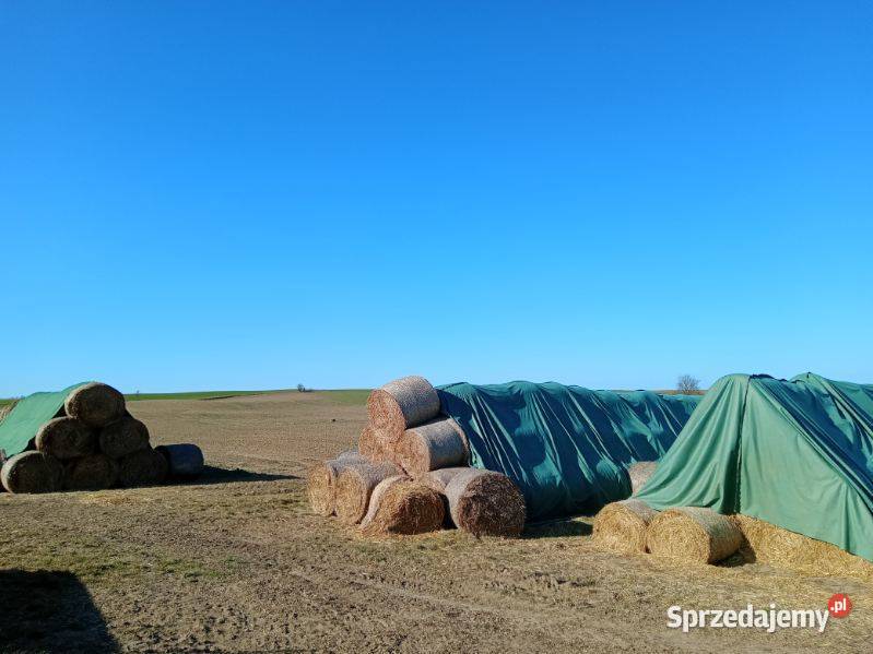 Słoma baloty 120x120