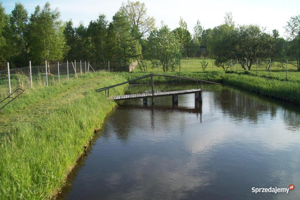 działkę stawem o powierzchni 2637 m2 Piła Druga