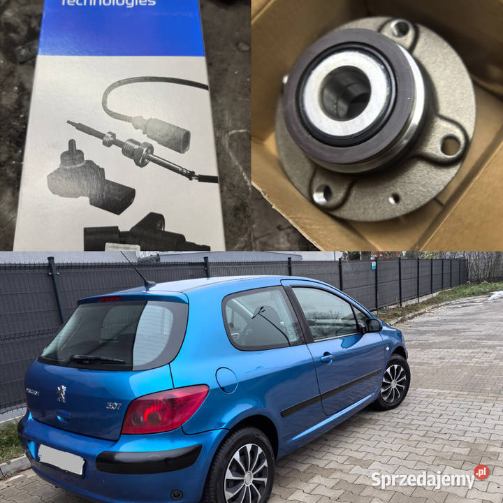 Peugeot 307 GAZ Wspomaganie Opony Całoroczne wielkopolskie Poznań