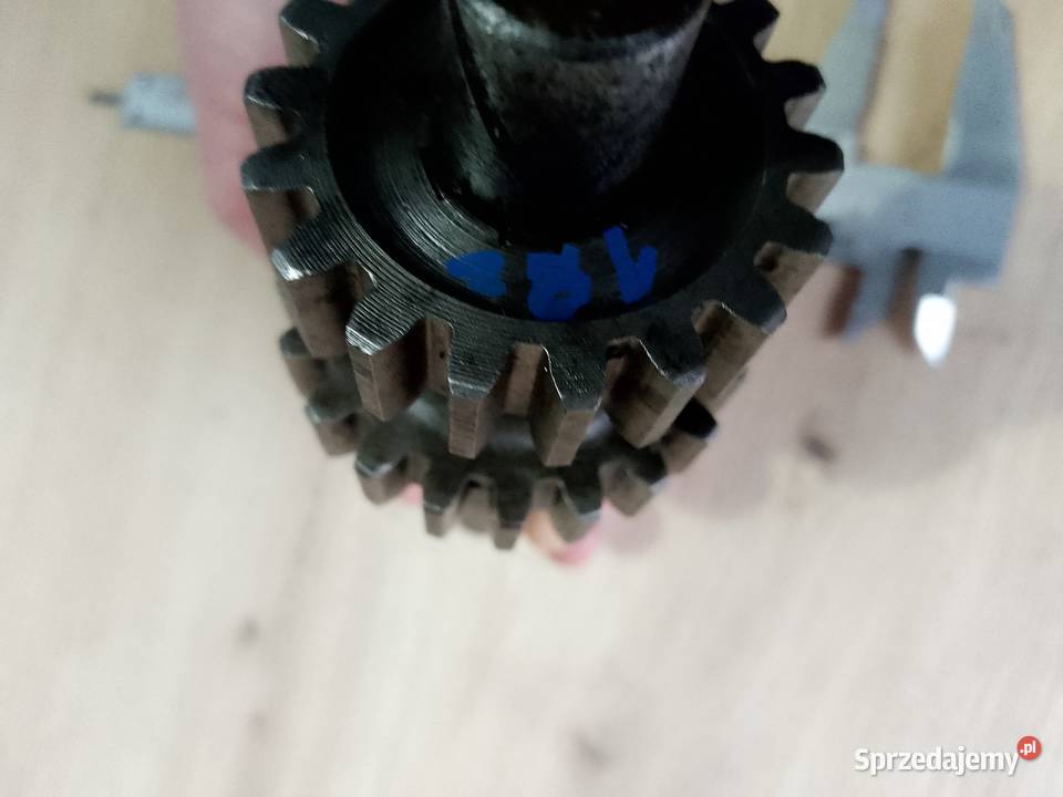 wsk junak m07 m10 skrzynia tryb Międzychód