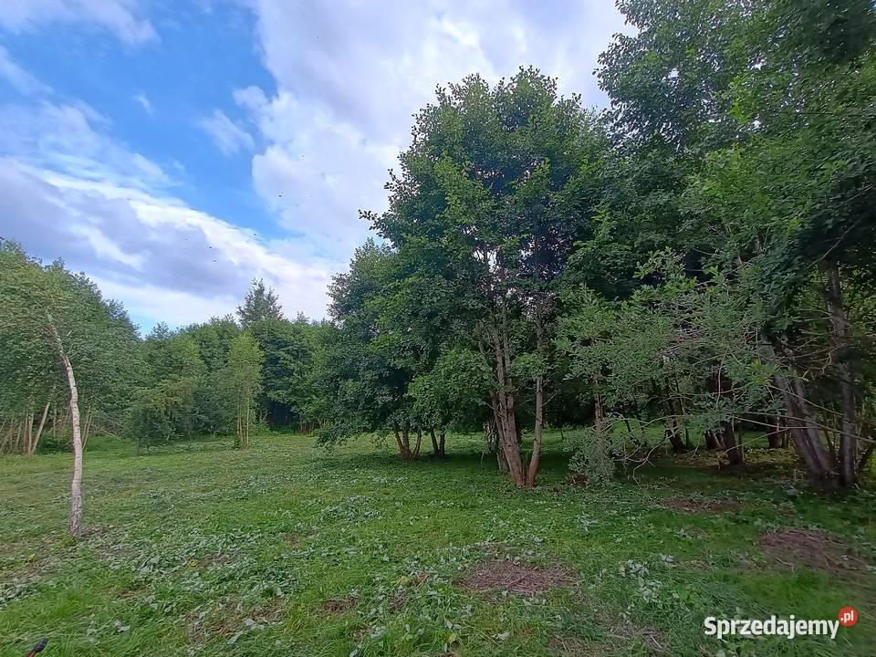 Działka budowlana z lasem Swobodna gm Miasto 36zł/m2