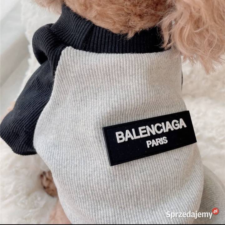 Nowa bluza ubranko psa Balenciaga XXS3XL Warszawa sprzedam