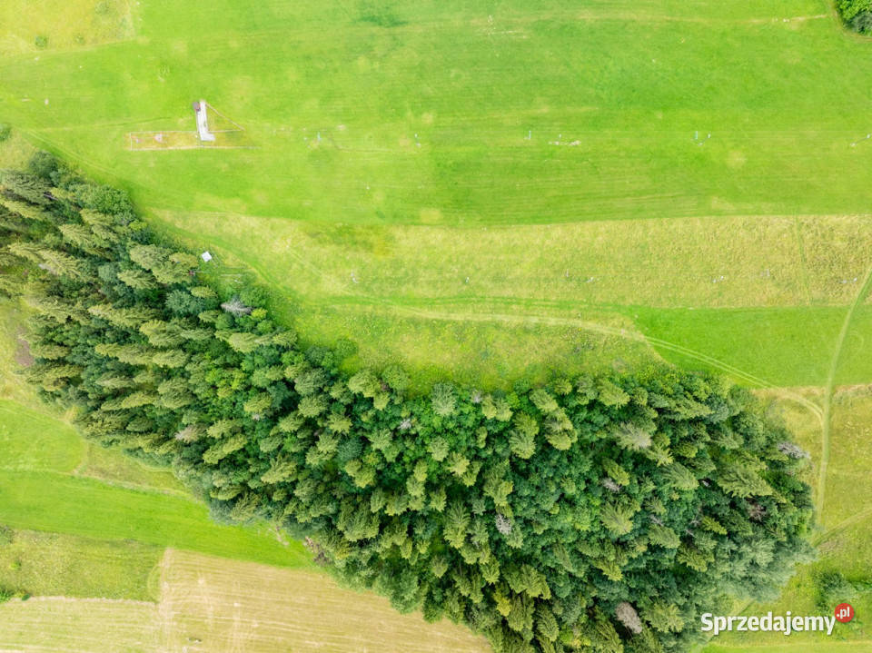 Działka na sprzedaż Bukowina Tatrzańska 44zł/m2 małopolskie sprzedam