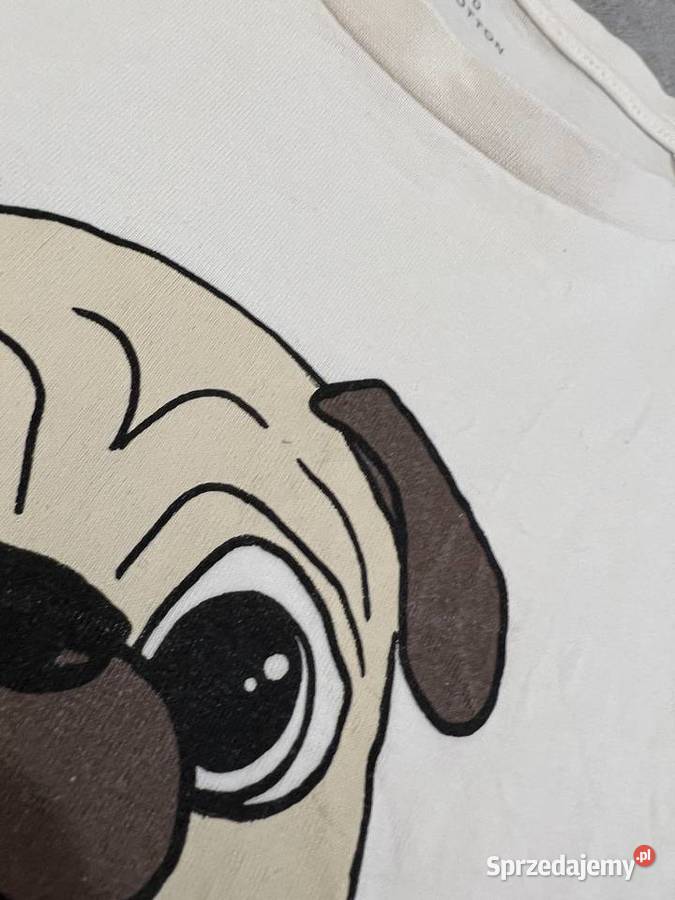Tshirt koszulka bluzka z krótkim rękawem z Reserved Jasło