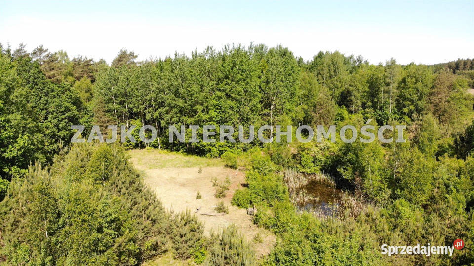 Do sprzedaży działka Nowinka 12445m2 Sprzedajemy.pl