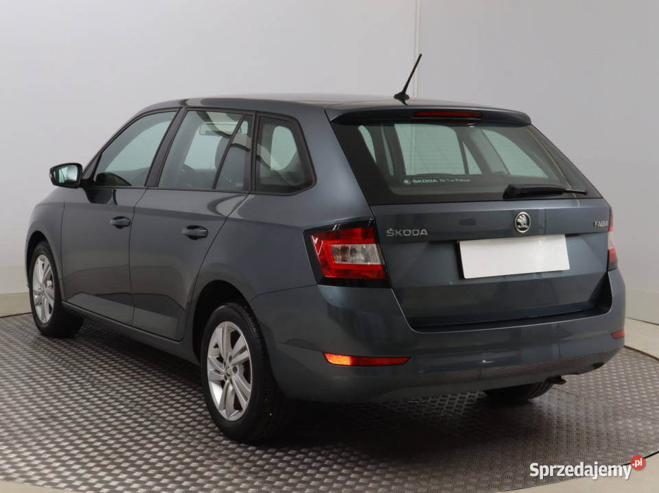 Skoda Fabia 10 TSI szary dolnośląskie Bielany Wrocławskie