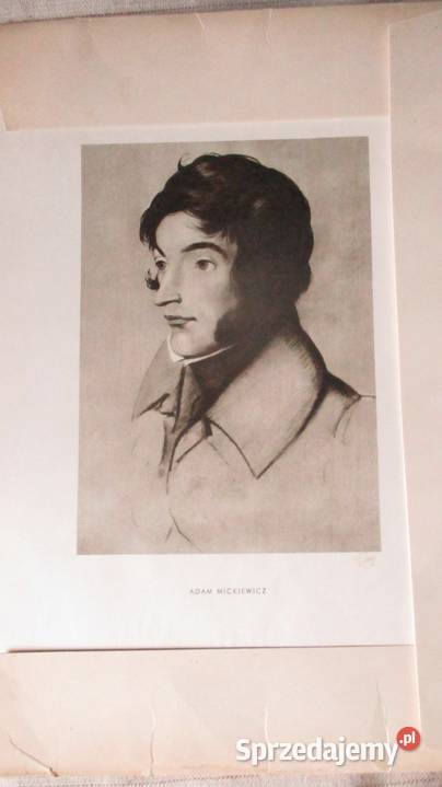 Ilustracje do Pana Tadeusza AndriolliPan Łódź