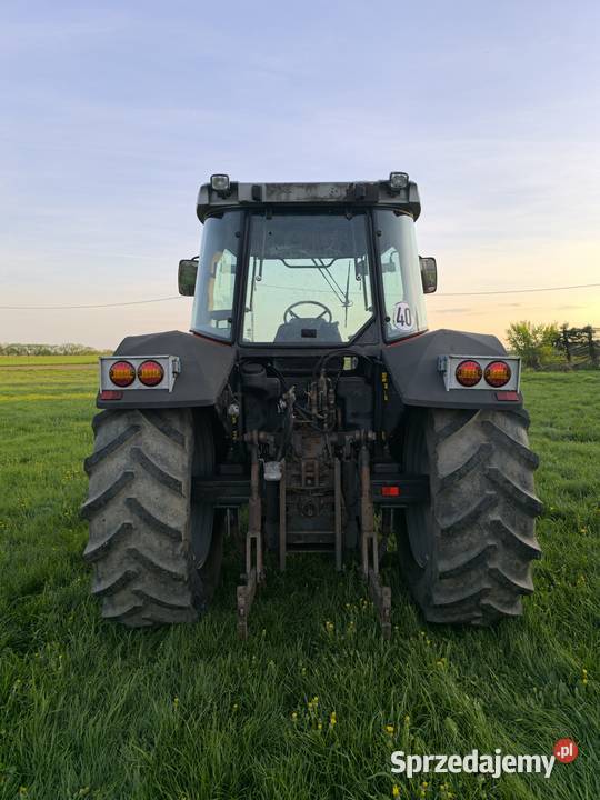 Massey Ferguson 6170 Massey Ferguson pomorskie Zblewo sprzedam
