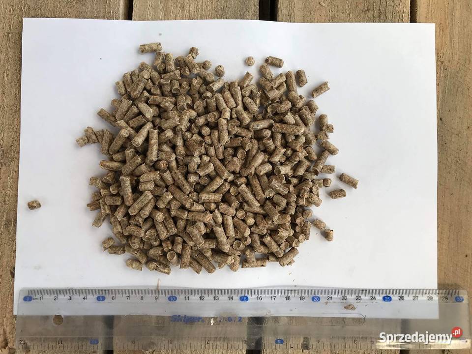 100 ŚWIEŻA CEBULA ŻÓŁTOCZERWONA WYSOKA JAKOŚĆ Nagrzewnice Warszawa