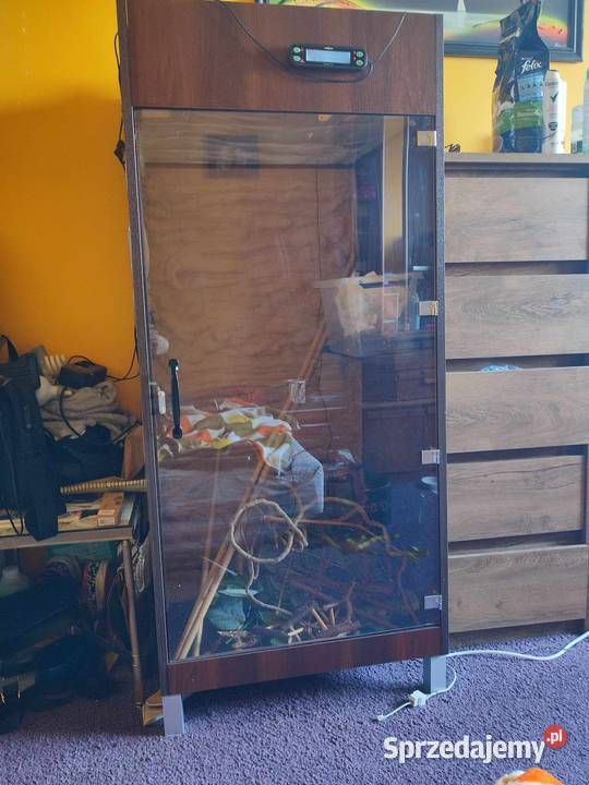 Terrarium kameleona z wyposażeniem