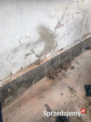 Iniekcje krystaliczne ciśnieniowe podciąganie Fundamenty i usługi murarskie Usługi Chojnice