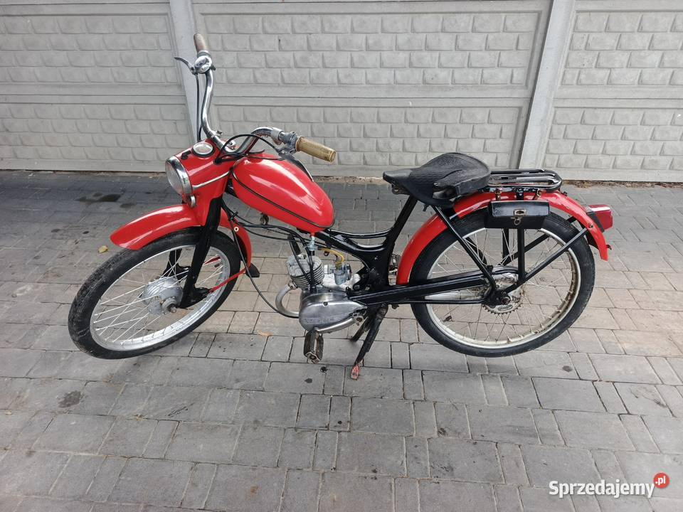 Komar sztywniak lubelskie Parczew