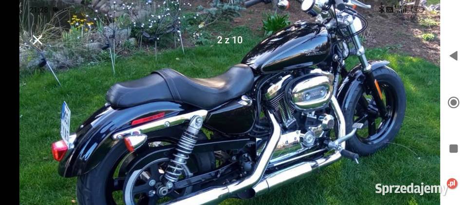 Harley Davidson Sportster 1200 17000km Gostynin