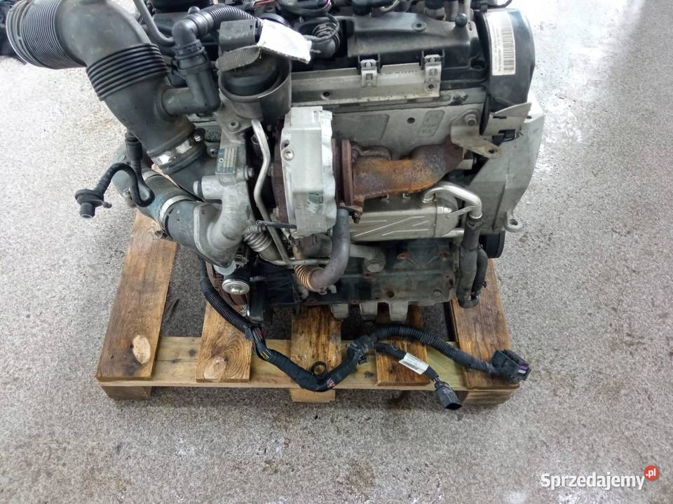 SILNIK KOMPLETNY DIESEL CAY 16 TDI Seat Ibiza IV Rok produkcji 2012 sprzedam