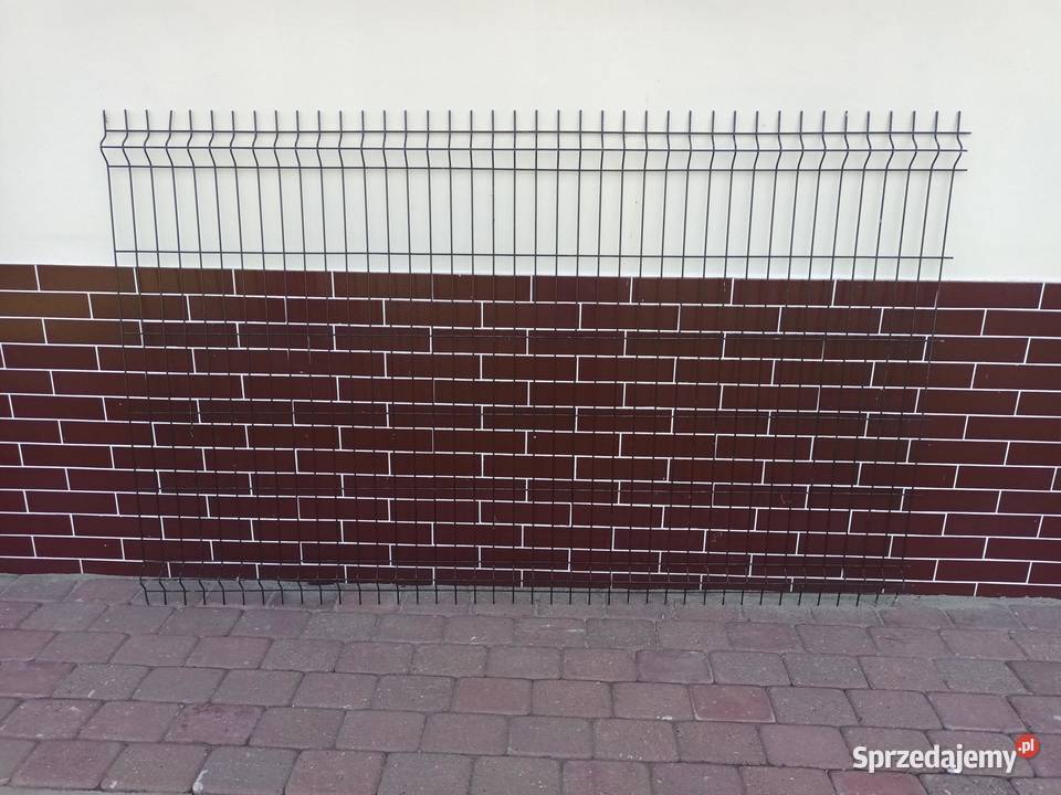 Panel ogrodzeniowy 120x200