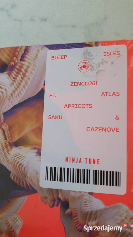 BICEP Isles ZENCD261 Ninja Tune 2021 Puławy