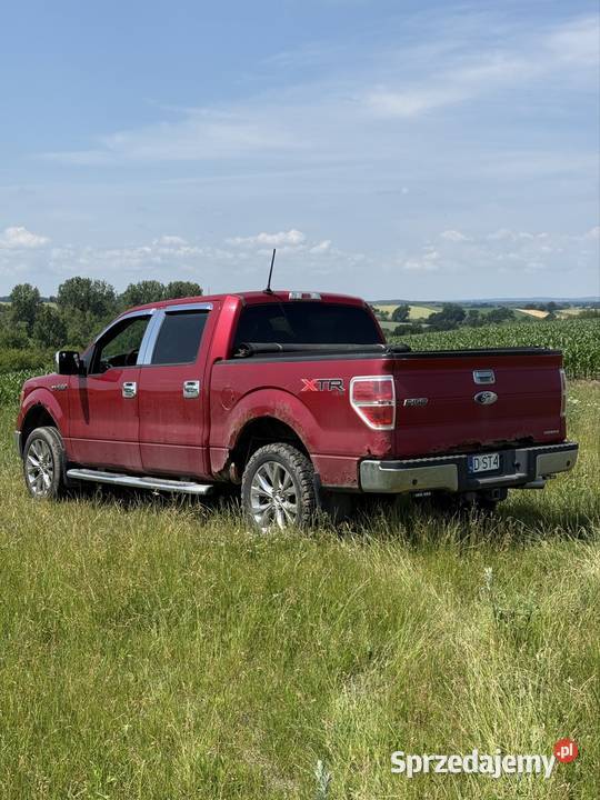 F150 50 V8 Zarejestrowany 2012 6 osobowy Raszów sprzedam