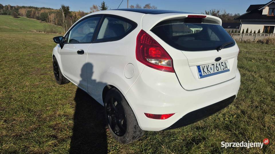 Ford Fiesta 2010 Brzeziny