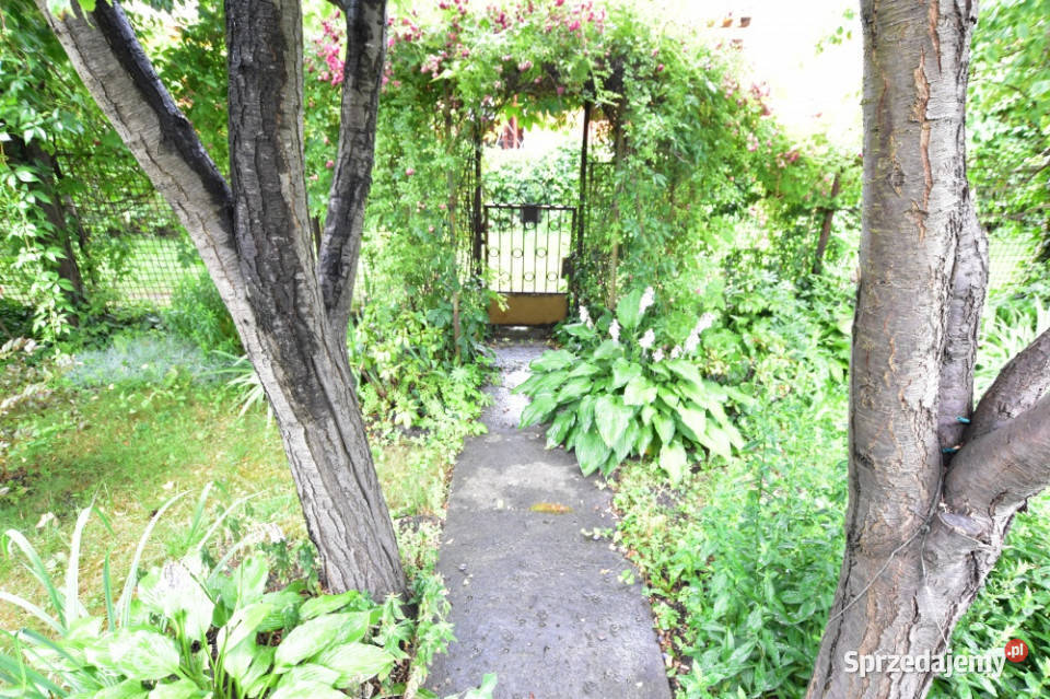 Działka rekreacyjna ROD RAi z domkiem Warszawa sprzedam