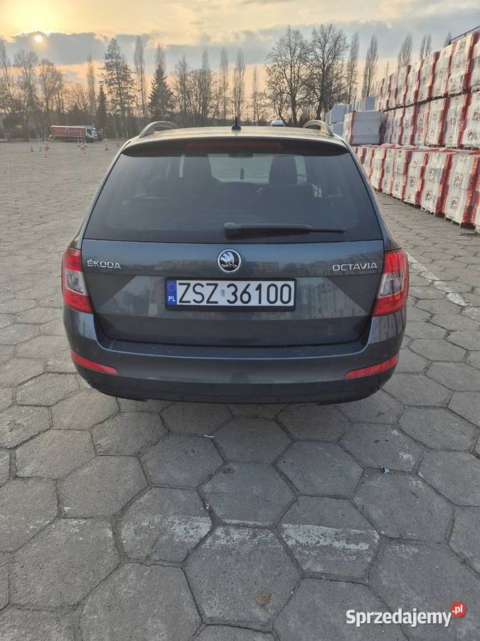 Skoda Octavia 2016 DSG TDI nieuszkodzony Szczecinek