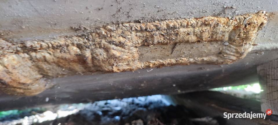 Zbiornik hydroforowy ocynkowany poj 10 000 Żabce sprzedam