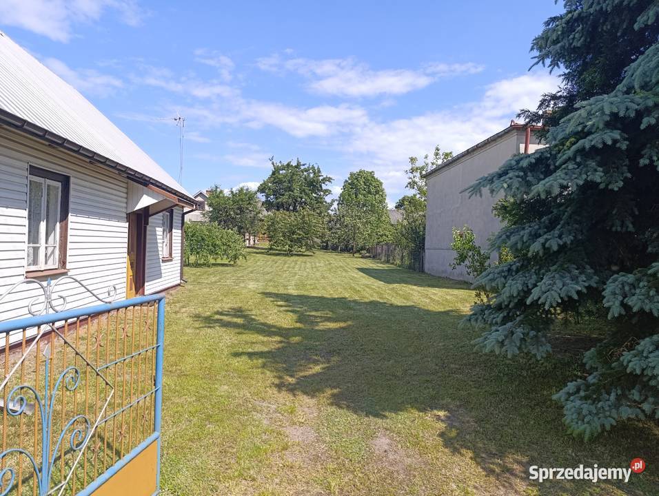 Sprzedam siedlisko Paszki Duże lubelskie sprzedam