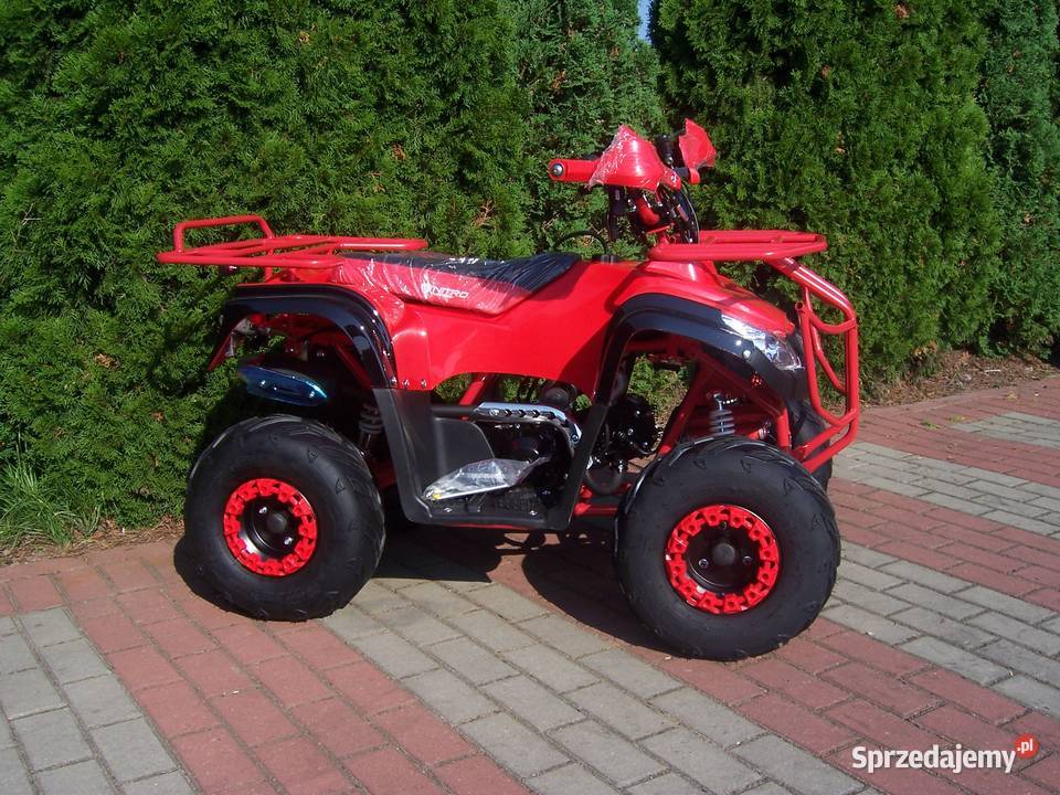 Quad KXD Hammer Phyton 110 cc 125 automat 1 1 Goleniów sprzedam
