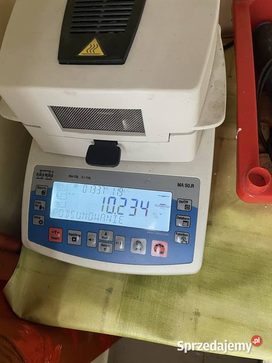 Koniczyna czerwona ekologiczna Zboża