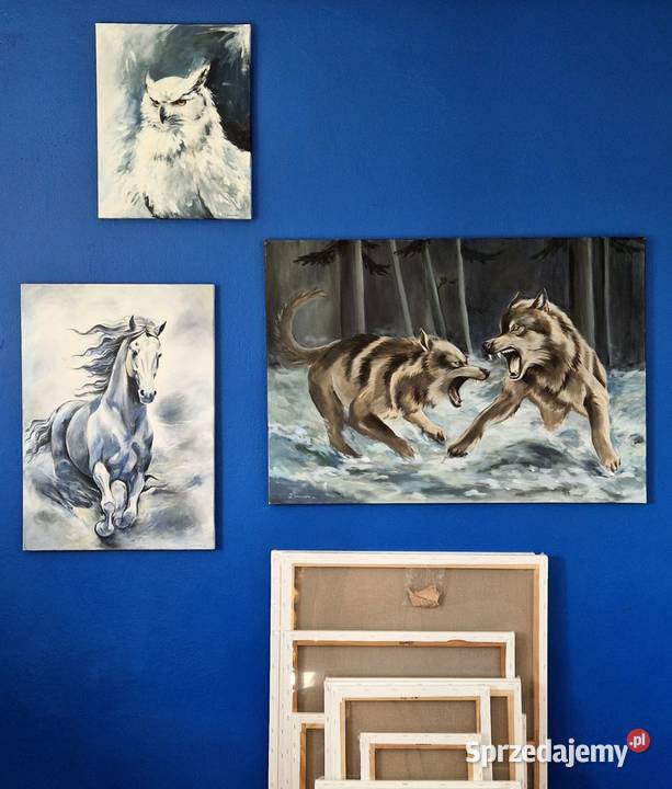 Obraz Wilki 100x70 Warszawa
