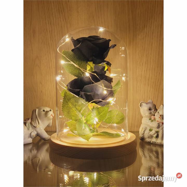 Wieczna róża czarna na prezent mamy babci żony Kompozycje kwiatowe Mikołów