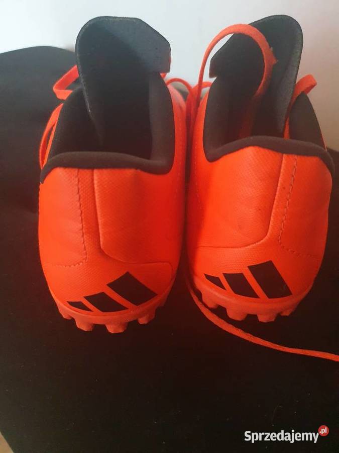 Sprzedam turfy turfy Sportowe Gorzów Wielkopolski sprzedam