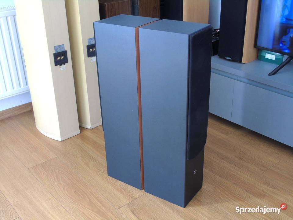 Kolumny Cat 2 x 380 wat łsprawne i ładne DOSTAWA Jasło