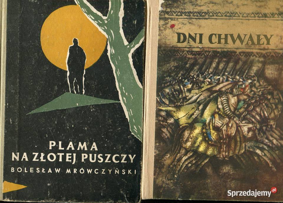 Dni chwały Plama na Złotej Puszczy Bolesław Szczecin