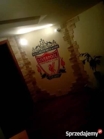 Artystyczne malowanie ścian Częstochowa