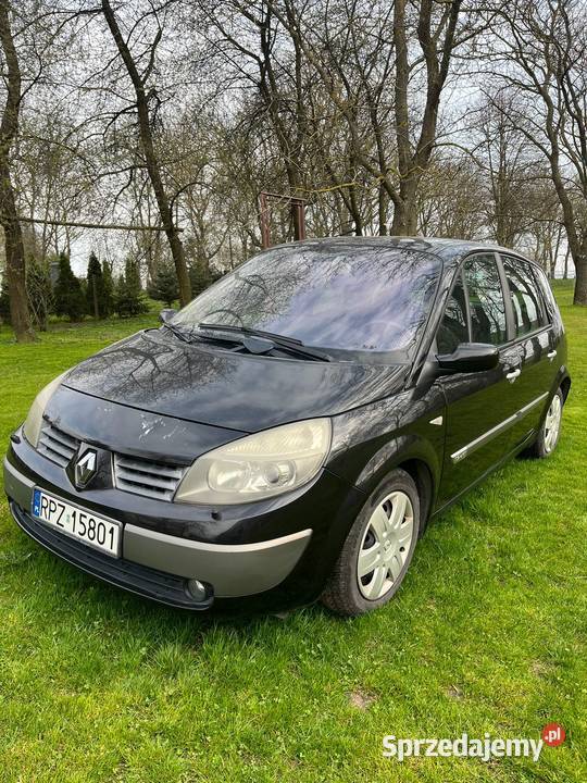 Renault Scenic II Rożniatów