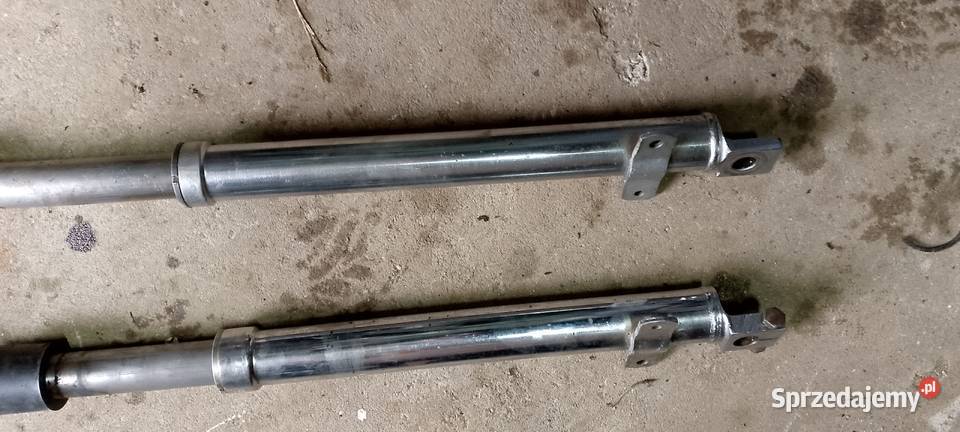 wsk wfm golenie Pozostałe Międzychód