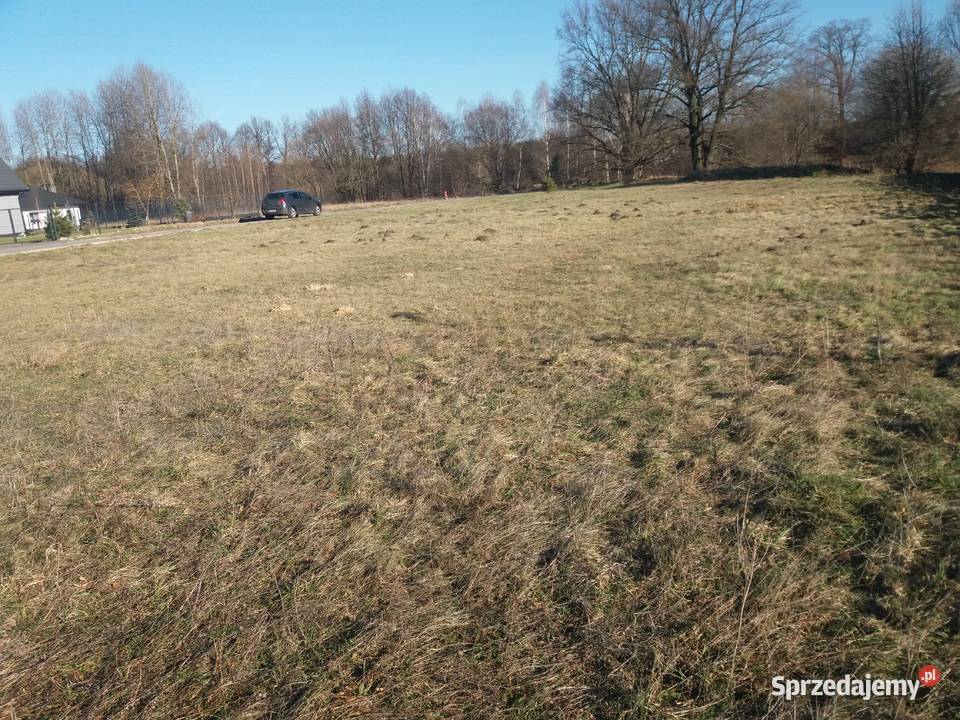 Czarków gm Wielowieś sprzeda właściciel 241zł/m2