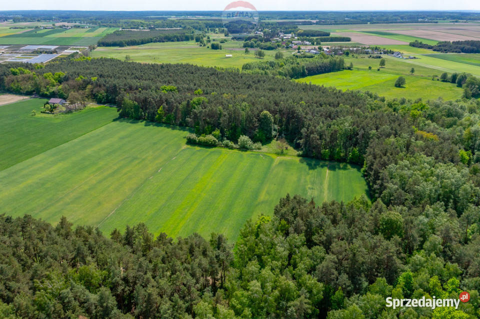 Budowlana 2300 m ze stawem i zielenią polna Góry Prusinowskie