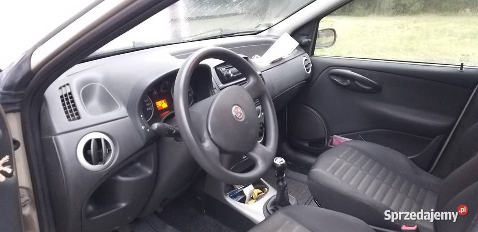 Punto Classic 12 złoty szerszeń Olsztyn