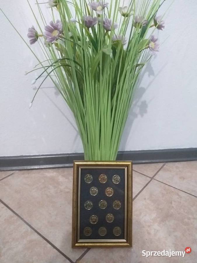Monety w oprawie łódzkie Bełchatów